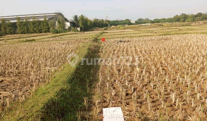 Tanah Akses Mudah di Serang Baru, Bekasi, Luas Tanah 440M², Area Berkembang Tanah Akses Mudah di Serang Baru, Bekasi, Luas Tanah 440M², Area Berkembang