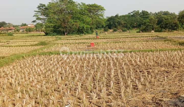 Tanah Akses Mudah di Serang Baru, Bekasi, Luas Tanah 440M², Area Berkembang Tanah Akses Mudah di Serang Baru, Bekasi, Luas Tanah 440M², Area Berkembang