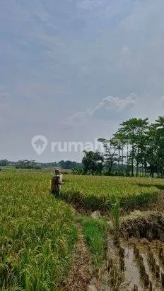 Tanah Akses Mudah di Serang Baru, Bekasi, Luas Tanah 440M², Area Berkembang