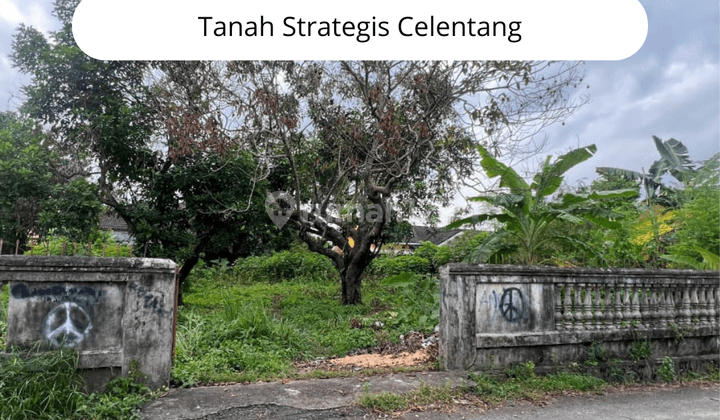 Dijual tanah strategis cocok bangun rumah atau investasi lokasi celentang 1