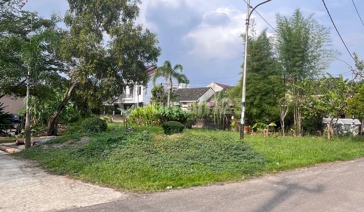 Tanah Tengah Kota Lokasi Kancil Putih Palembang