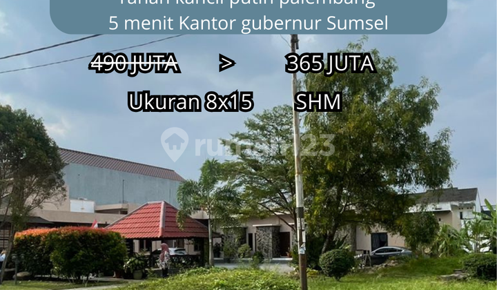 Tanah Kancil Putih Demang Lebar Daun Palembang