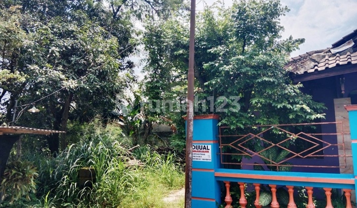 Dijual Rumah Lelang Murah Kertasura Sukoharjo 2