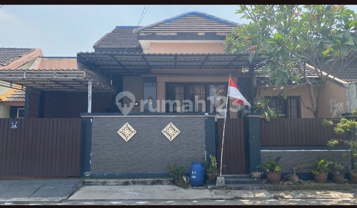 For Sale Auction House Tropod Waru For Sale Auction House Tropod Waru