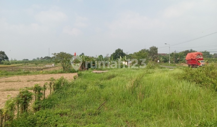 Land Auction for Sale Cheap Dlanggu Mojokerto