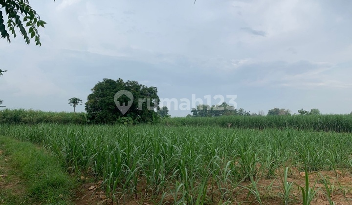 Dijual Tanah Lelang Murah Wringinanom Gresik