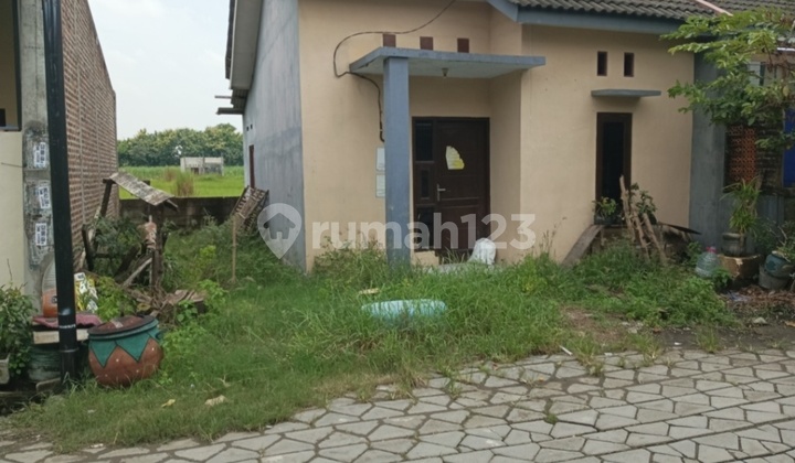 Dijual Lelang Rumah Gedeg Mojokerto Dijual Lelang Rumah Gedeg Mojokerto
