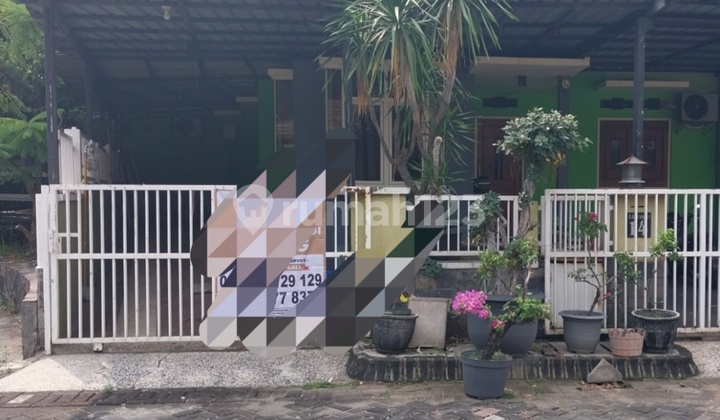 Dijual Rumah Lelang Yosowilangun Manyar Gresik Dijual Rumah Lelang Yosowilangun Manyar Gresik