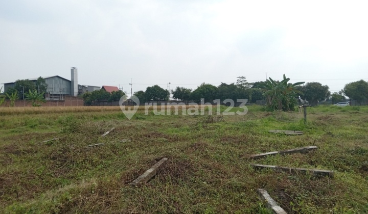 Dijual Tanah Kavling Dlanggu Mojokerto