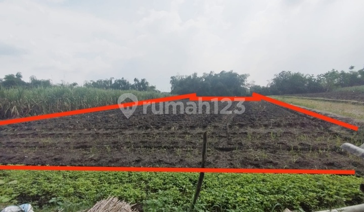 Dijual Lelangtanah Sawah Murah Mojodowo Kemlagi Wojokerto Dijual Lelangtanah Sawah Murah Mojodowo Kemlagi Wojokerto