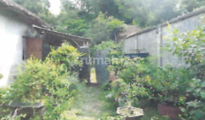 Dijual Tanah Lelang Murah Dlanggu Mojokerto