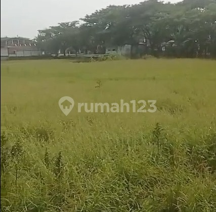 Dijual Tanah Desa Purworejo Padangan Ngawi Bojonegoro