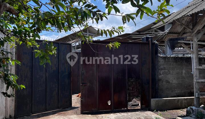 Dijual Via Lelang Tanah dan Bangunan Desa Tutul Kec Balung Kab Jember Dijual Via Lelang Tanah dan Bangunan Desa Tutul Kec Balung Kab Jember