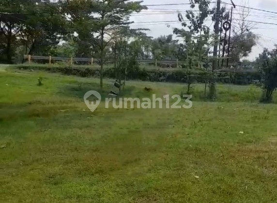 Land for Sale by the Main Road Location Purwosari Padangan Bojonegoro Land for Sale by the Main Road Location Purwosari Padangan Bojonegoro