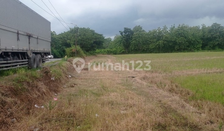 For Sale: Pranggi Village Land, Padangan, Bojonegoro For Sale: Pranggi Village Land, Padangan, Bojonegoro