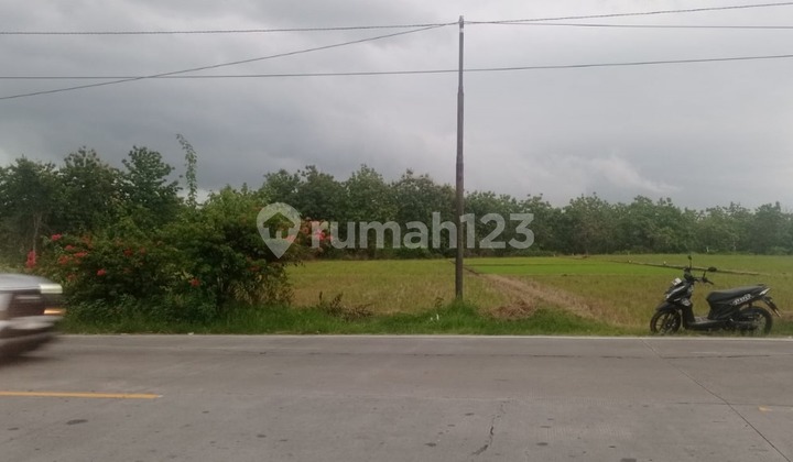 For Sale: Pranggi Village Land, Padangan, Bojonegoro For Sale: Pranggi Village Land, Padangan, Bojonegoro