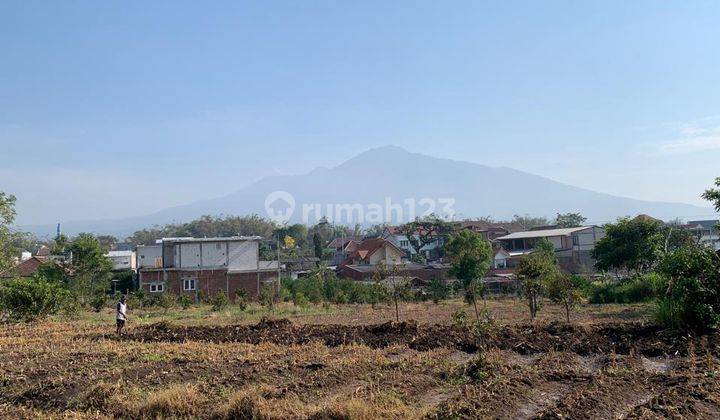 Dijual Tanah Lokasi Pandanrejo Batu Dekat Baloga  2