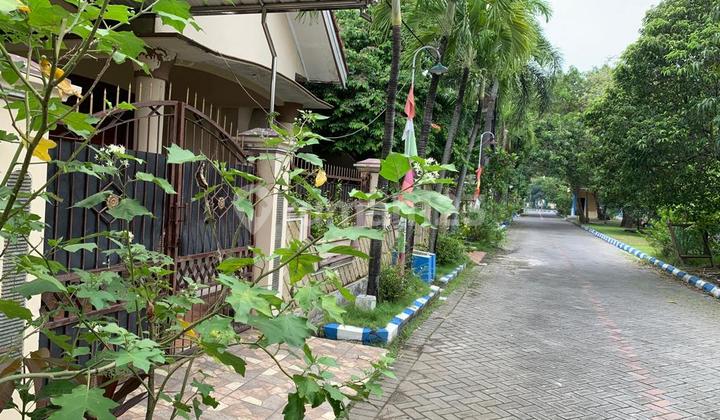 Dijual Via Lelang Rumah Lokasi Merpati Kehutanan Pabean Sedati  2