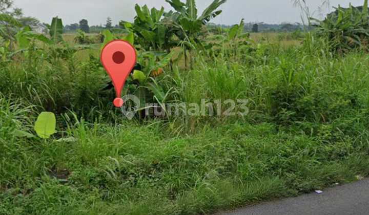 Land for Sale in Dadap Kuning, Cerme, Gresik