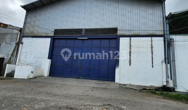 Warehouse for Sale Ready to Use Location Margomulyo Permai Surabaya Warehouse for Sale Ready to Use Location Margomulyo Permai Surabaya