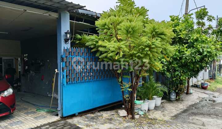 For Sale House Kbd Driyorejo Gresik For Sale House Kbd Driyorejo Gresik