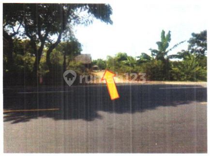 Dijual Via Lelang Tanah dan Bangunan Jalan Raya Jenu Desa Kaliuntu Kec Jenu Tuban