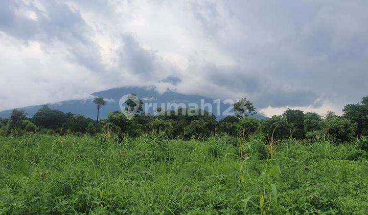 Land for Sale in Karang Asem, Tulamben, Bali, Close to Diving Spots Land for Sale in Karang Asem, Tulamben, Bali, Close to Diving Spots