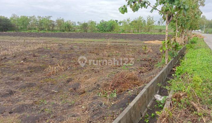Dijual Tanah Desa Katur Kec.gayam Bojonegoro  1