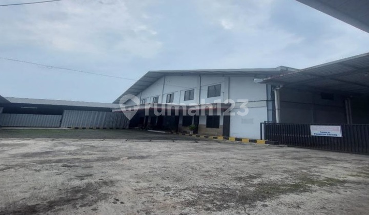 For Sale by Auction, Warehouse in Pakis Jajar Sub-district, Pakis District, Malang For Sale by Auction, Warehouse in Pakis Jajar Sub-district, Pakis District, Malang
