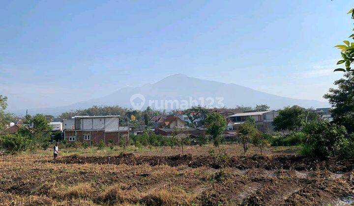 Dijual Tanah Lokasi Pandanrejo Batu Dekat Baloga  1