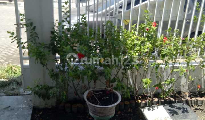 Dijual Cepat Rumah Alana Regency A2 Tambakrejo Waru Sidoarjo  2