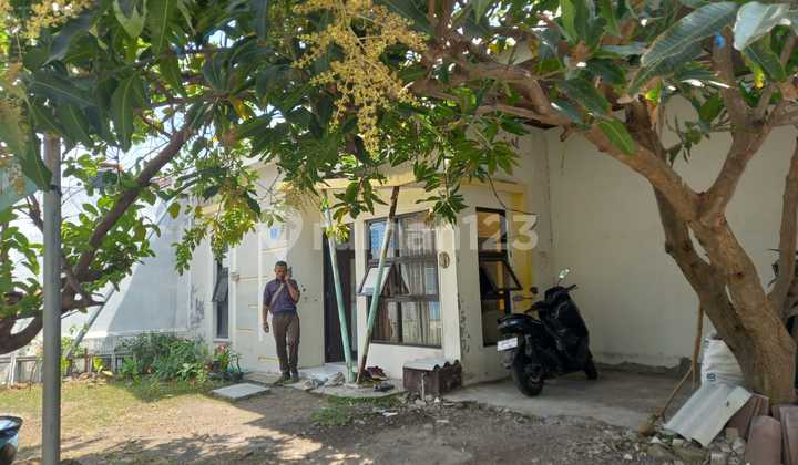 Di Jual Via Lelang Perum Palm Oasis Surabaya Barat 2