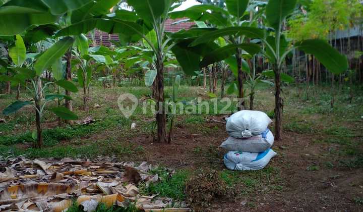 Land For Sale in Tajur Halang, Bogor