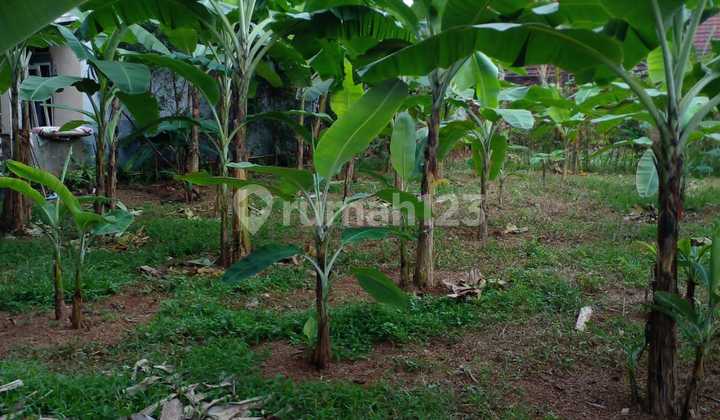 Land For Sale in Tajur Halang, Bogor