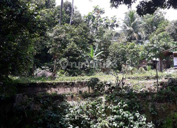 Tanah Kolam Ikan Di Desa Pasir Eurih, Kec.tamansari, Kab.bogor, Bogor 1