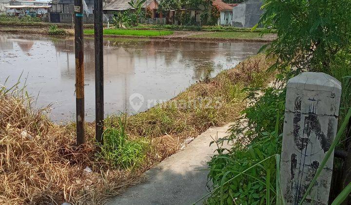 Tanah SHM 3.600 m² Dekat Kampus Ipb Dramaga Akses Jalan Cukup Untuk Mobil Pribadi 2