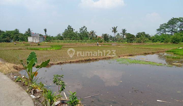 Tanah SHM 3.600 m² Dekat Kampus Ipb Dramaga Akses Jalan Cukup Untuk Mobil Pribadi 1