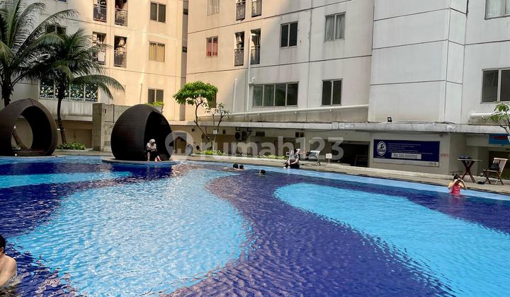 Apartemen Bassura City Full Furnished Paling Murah 2 Kamar Tidur Apartemen Bassura City Full Furnished Paling Murah 2 Kamar Tidur