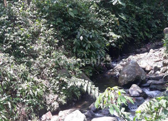 Tanah Kolam Ikan Di Desa Pasir Eurih, Kec.tamansari, Kab.bogor, Bogor 2