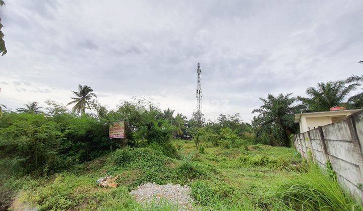 Tanah Lelang Bank DKI, Jalan Pasar I Desa Tanjung Selamat, Kec. Percut Sei Tuan, Kab. Deli Serdang, Sumatera Utara