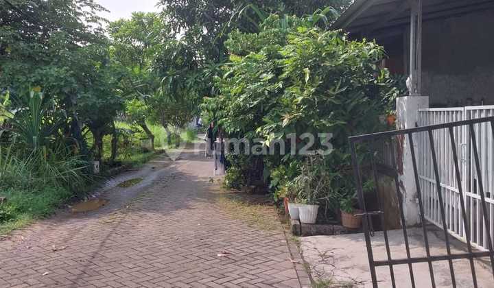 Rumah Lelang Bank DKI, Perum Grand Nusa Indah Cluster Passiflora, Kel. Mampir, Kec. Cileungsi, Kota Bogor, Jawa Barat 2