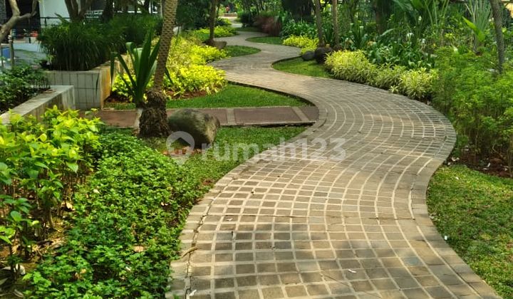 Disewakan Rumah Mewah View Golf Springhill Kemayoran Uk 10x30 Furnish  2