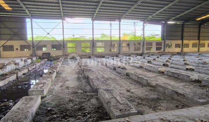 Dijual Cepat Gudang Ex Pabrik Hebel Di Cikarang Pusat