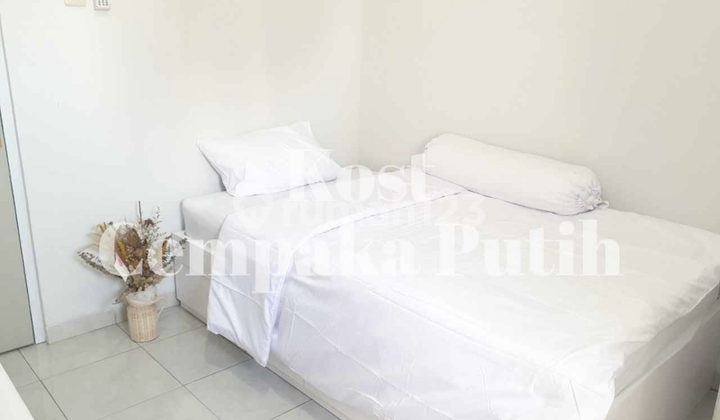 Rumah Kost Cempaka Putih Rumah Kost Cempaka Putih
