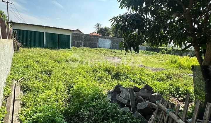 Jual Tanah Di Tangerang Super Murah Banget Butuh Uang Bu Daerah Paku Haji