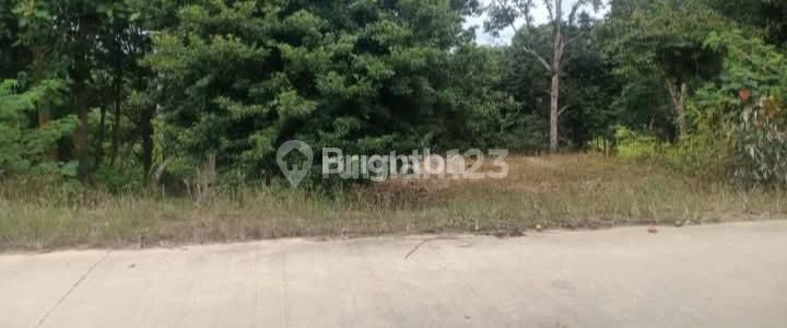 Tanah Kebun Jalan Poros Desa Bendang Tenggarong 1