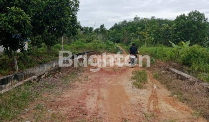 Tanah Dan Kebun Buah Dearah Makroman 1