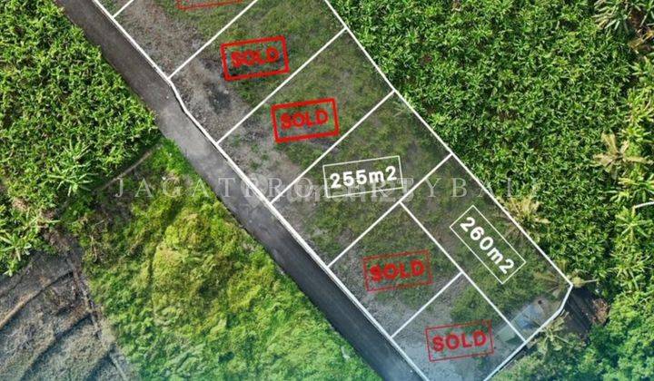 Dijual Tanah Kavling Berlokasi Di Tumbak Bayuh Canggu - Good Lokasi 2