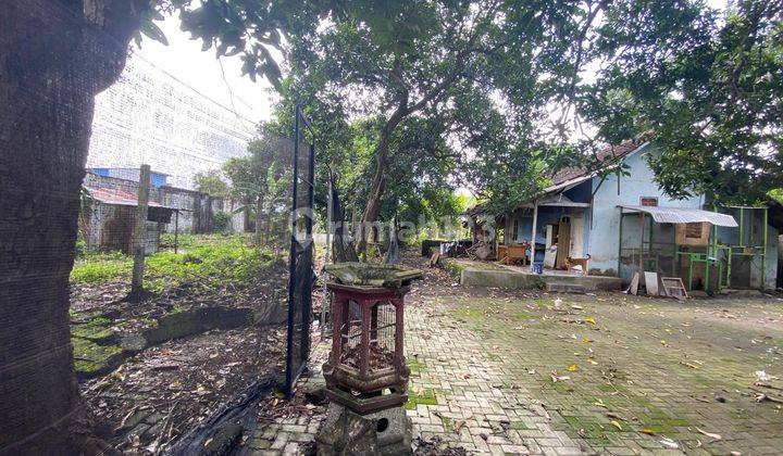 Disewakan Tanah Aberlokasia Di Kesiman  1