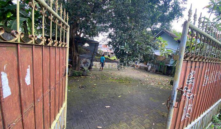 Disewakan Tanah Aberlokasia Di Kesiman  2